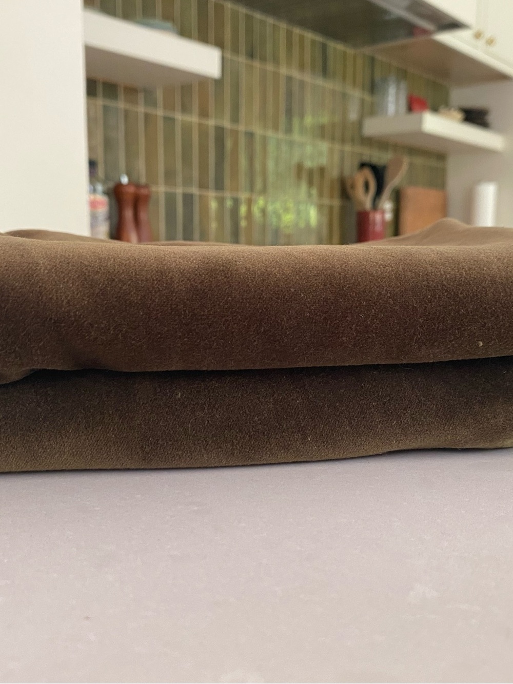 Quince cotton velvet pillows - PAIR